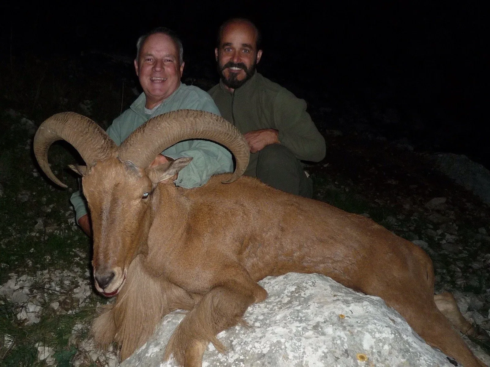 Arrui (Barbary Sheep) — Southeast (Murcia and Almería) (4)