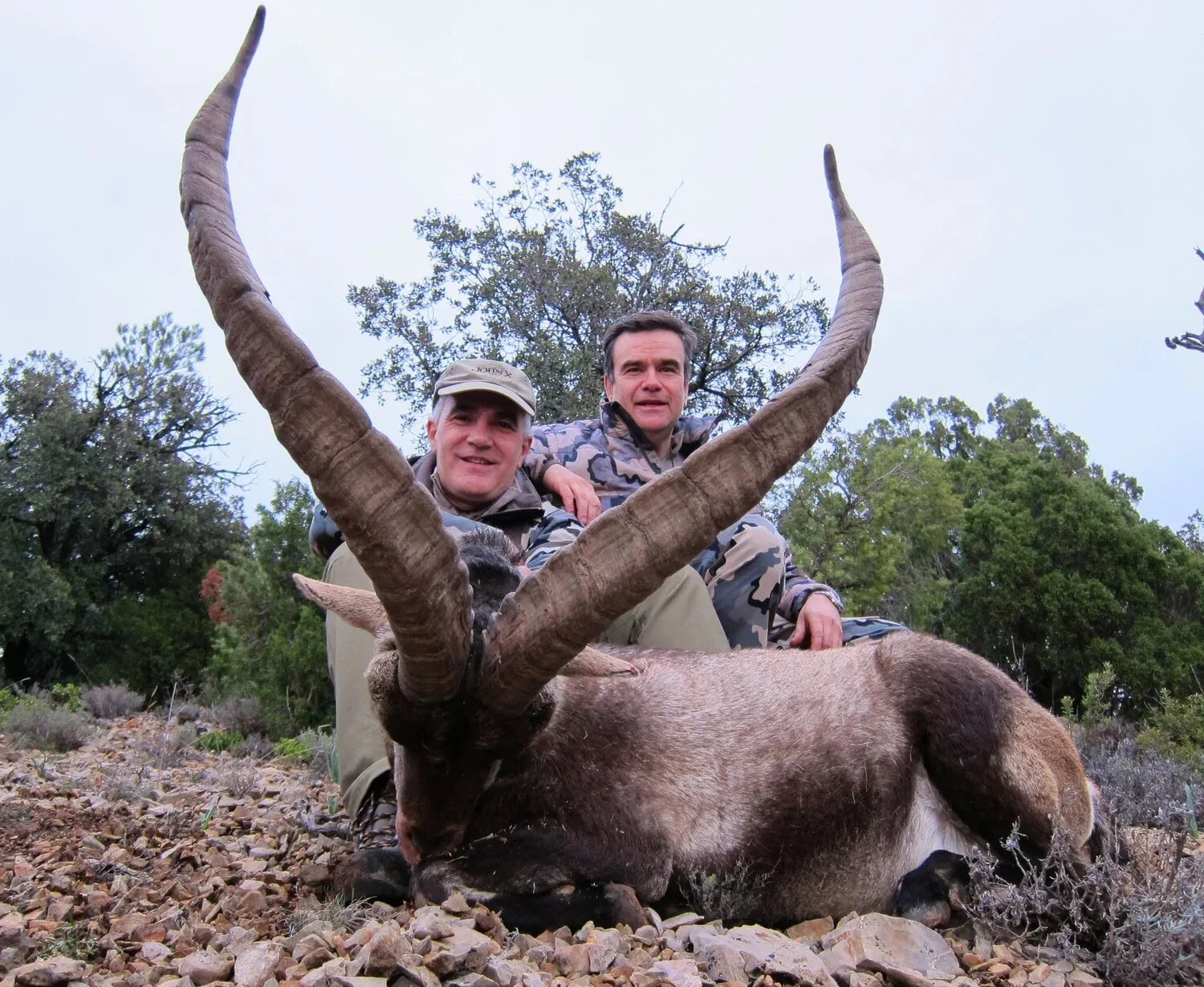 Beceite Ibex — Beceite Mountains (2)