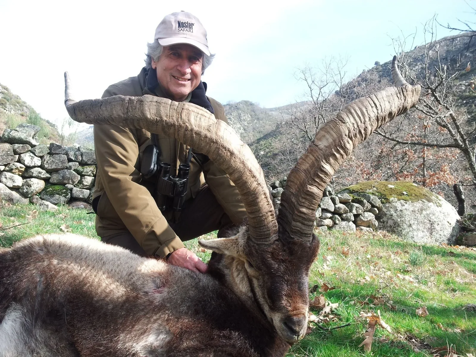 Gredos Ibex — Gredos Mountains (2)