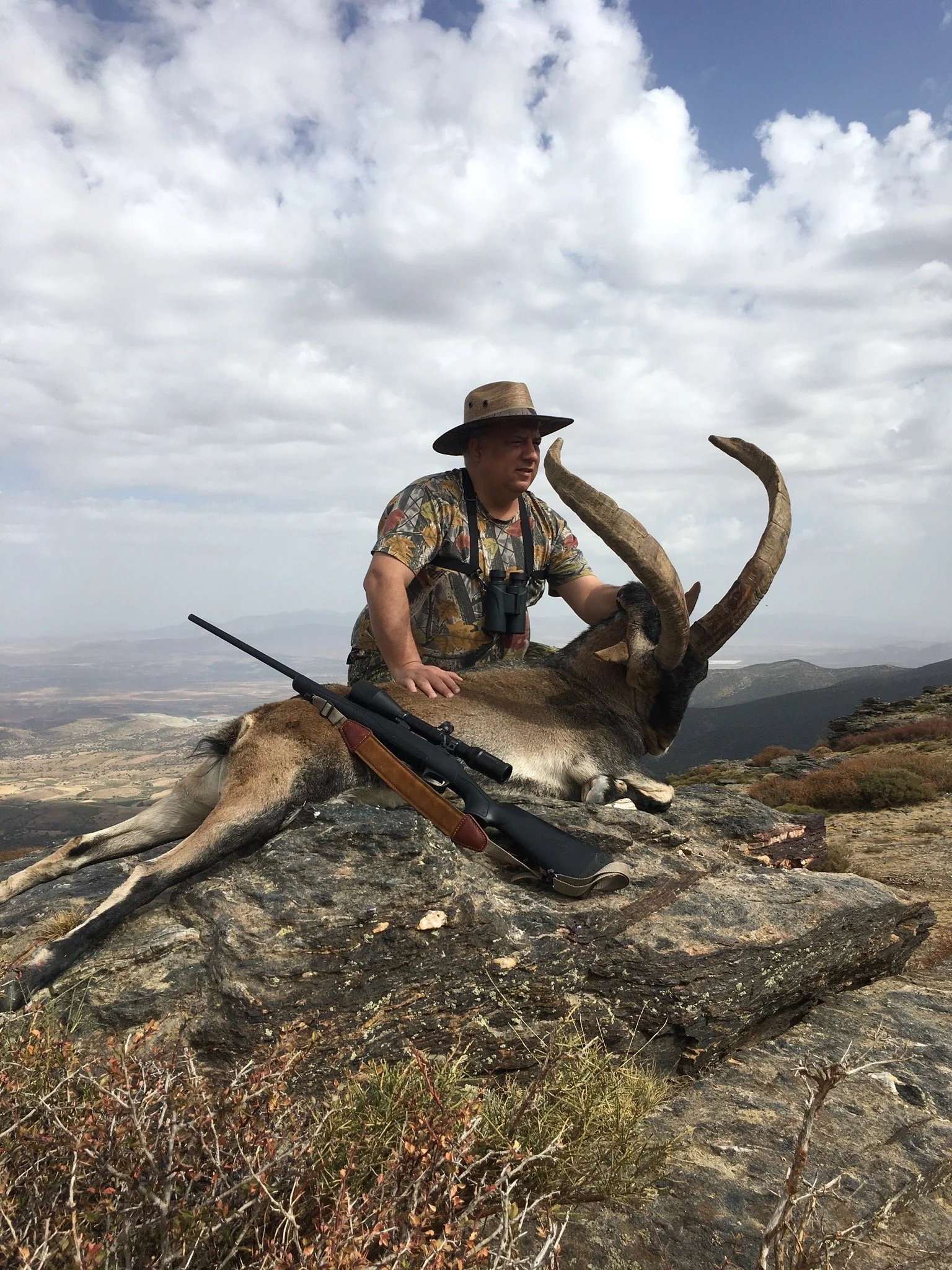 Gredos Ibex — Gredos Mountains (1)