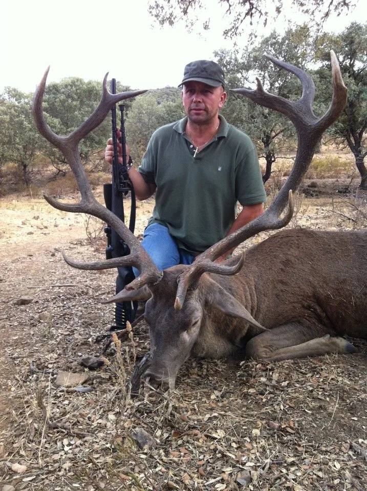 Red Stag in the Rut — Northern and Central Spain (2)