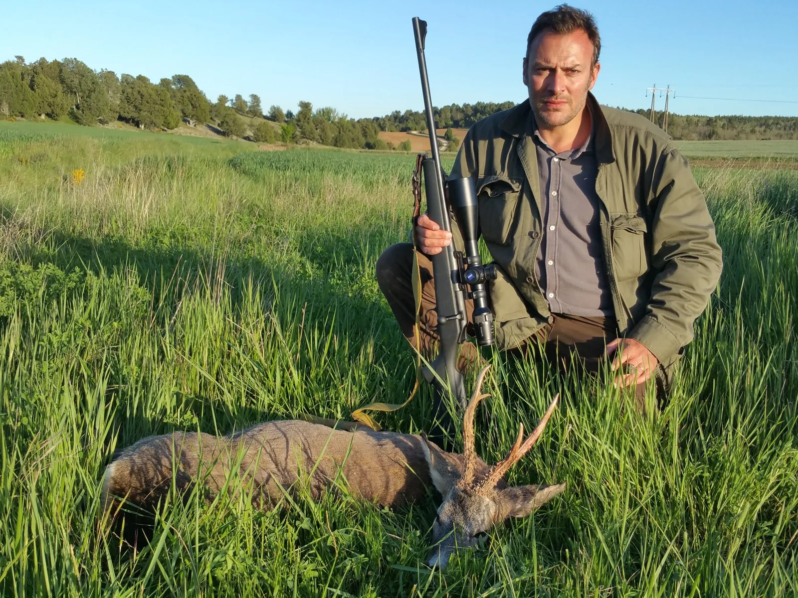 Roe Deer — Across Spain (2)