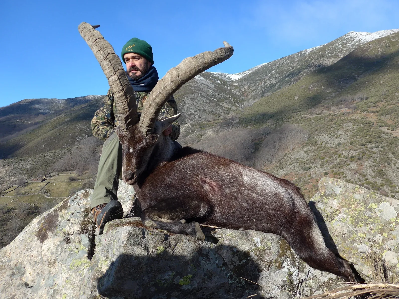 Spanish Ibex Grand Slam — Beceite, Gredos, Ronda and Sierra Nevada (8)
